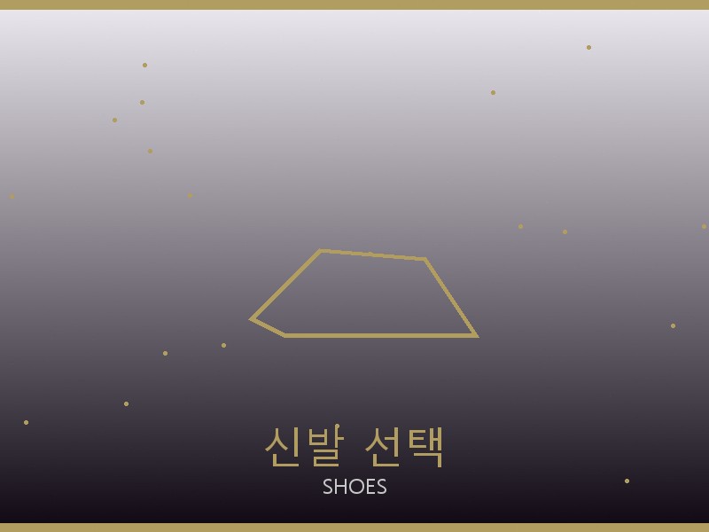 고야드 레플리카 사이트 신발 선택 가이드